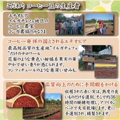 スペシャルティ コーヒー豆セット エチオピア 300g(100g×3袋) EW125