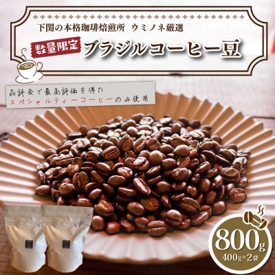 【細挽き】 訳あり コーヒー豆 800g(400g×2袋) ブラジル EW144-D-x