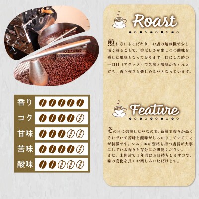 【細挽き】 訳あり コーヒー豆 800g(400g×2袋) ブラジル EW144-D-x