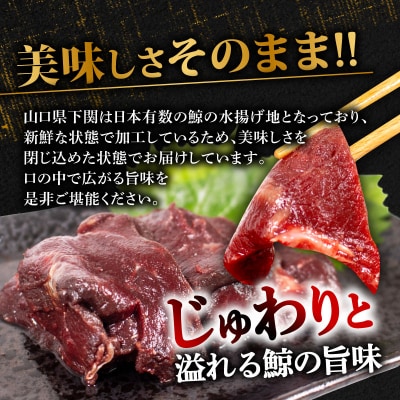鯨の熟成肉 450g 冷凍 ( 刺身 熟成肉 くじら クジラ 赤肉 赤身 ) 下関 山口 BY119
