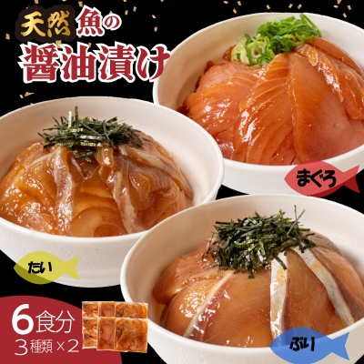 漬け丼 セット 計 6食分 冷凍 マグロ タイ ブリ 詰め合わせ 刺身 海鮮 EY036