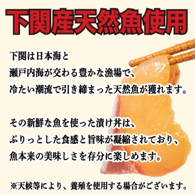 漬け丼 セット 計 6食分 冷凍 マグロ タイ ブリ 詰め合わせ 刺身 海鮮 EY036