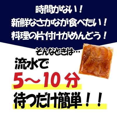 漬け丼 セット 計 6食分 冷凍 マグロ タイ ブリ 詰め合わせ 刺身 海鮮 EY036