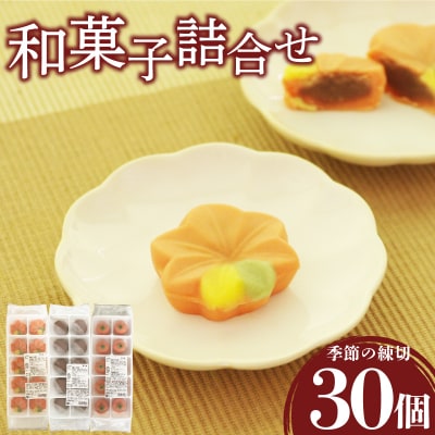 【先行予約】 訳あり ハヤシカネの和菓子詰合せ 30個 冷凍 季節の練切3種 IR020