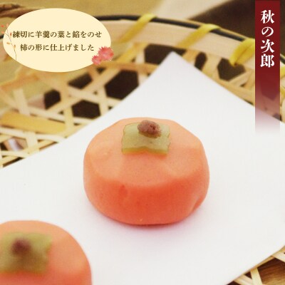 【先行予約】 訳あり ハヤシカネの和菓子詰合せ 30個 冷凍 季節の練切3種 IR020