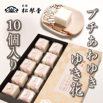 下関名菓 和菓子 贈答 あわゆき プチあわゆき ゆき花 10個入 BD202