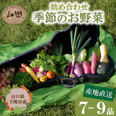 旬の 野菜 詰め合わせ IN001
