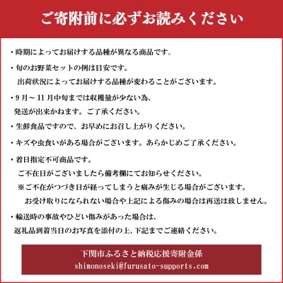 旬の 野菜 詰め合わせ IN001