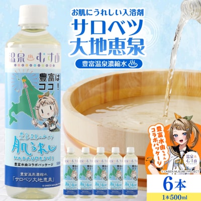豊富温泉 濃縮温泉水 サロベツ大地恵泉 (500ml×6本)