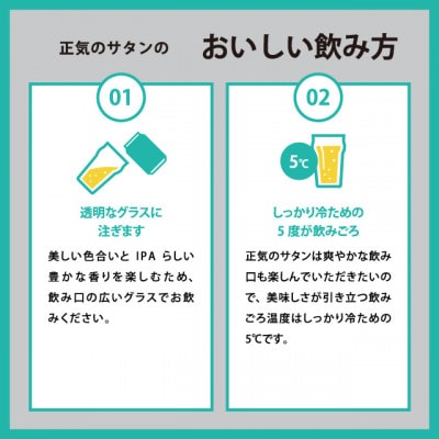 正気のサタン 350ml 24本(アルコール度数0.7%低アル微アルIPA)
