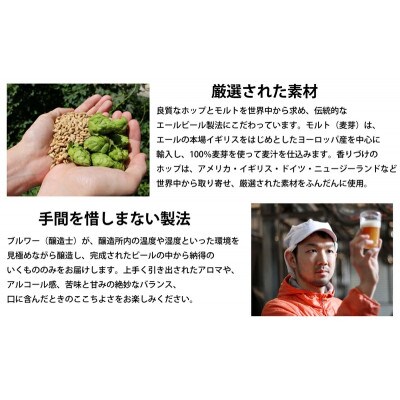 【毎月定期便】クラフトビール　6種飲み比べセット　350ml×24本(ヤッホーブルーイング)全6回