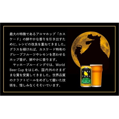 【毎月定期便】【よなよなエール】クラフトビール(お酒)48本　ヤッホーブルーイング全6回