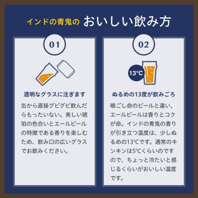 【毎月定期便】【インドの青鬼】長野県のクラフトビール(お酒)24本　ヤッホーブルーイングIPA全6回