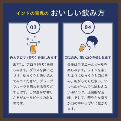 【毎月定期便】【インドの青鬼】長野県のクラフトビール(お酒)24本　ヤッホーブルーイングIPA全9回