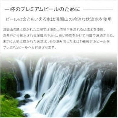 【プレミアム・ダーク】THE軽井沢ビール 24缶 クラフトビール