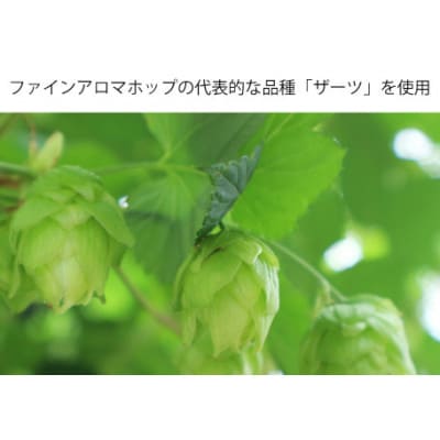 クラフトビール THE軽井沢ビール 350ml 20缶 飲み比べ 10種 セット