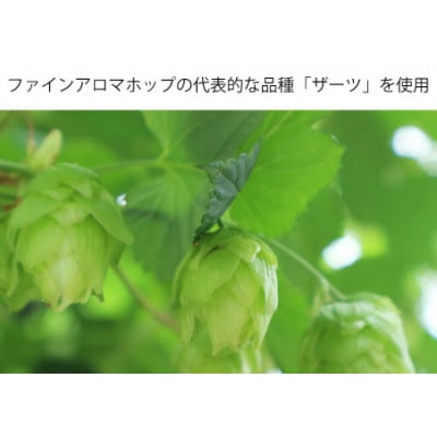 THE軽井沢ビール 10種30缶 クラフトビール350ml  飲み比べセット