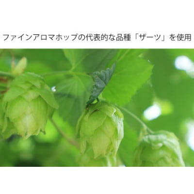 THE軽井沢ビール 10種10缶 クラフトビール350ml  飲み比べセット