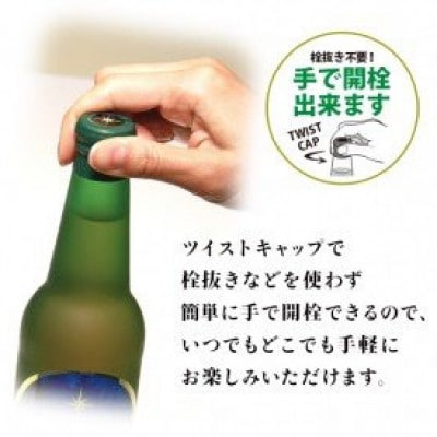 THE軽井沢ビール 5種15瓶セット 飲み比べギフト 〈T-BB〉