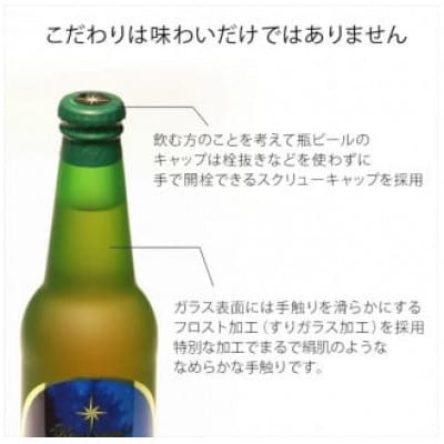 【ヴァイス】THE軽井沢ビール 12瓶 クラフトビール