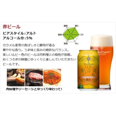 クラフトビール THE軽井沢ビール 3種12缶 飲み比べ セット