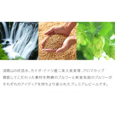 クラフトビール THE軽井沢ビール 350ml 6缶 飲み比べ 6種 セット