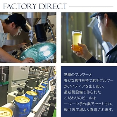 【毎月定期便】【さとふる限定】THE軽井沢ビール8種24本クラフトビール飲み比べ全5回