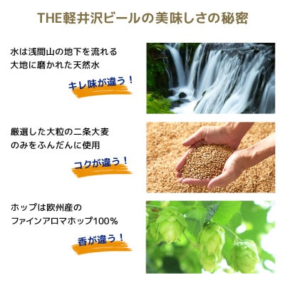 【毎月定期便】クラフトビール THE軽井沢ビール 8種 24本(350ml) 飲み比べセット全8回