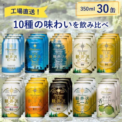 【毎月定期便】THE軽井沢ビール 10種30缶 クラフトビール350ml 飲み比べセット全3回
