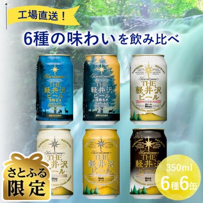 【毎月定期便】【さとふる限定】THE軽井沢ビール6種6缶クラフトビール飲み比べ全5回