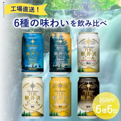 【毎月定期便】クラフトビール THE軽井沢ビール 350ml 6缶 飲み比べ 6種 セット全8回