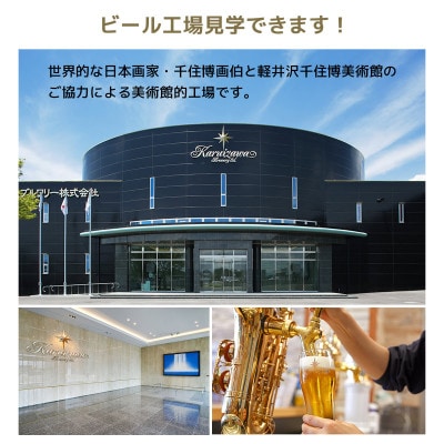 【毎月定期便】クラフトビール THE軽井沢ビール 350ml 6缶 飲み比べ 6種 セット全9回