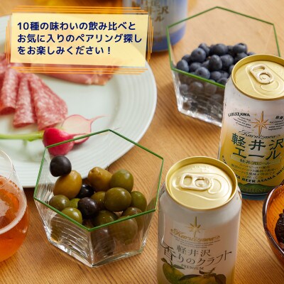 【毎月定期便】THE軽井沢ビール 10種20缶 クラフトビール350ml 飲み比べセット全4回