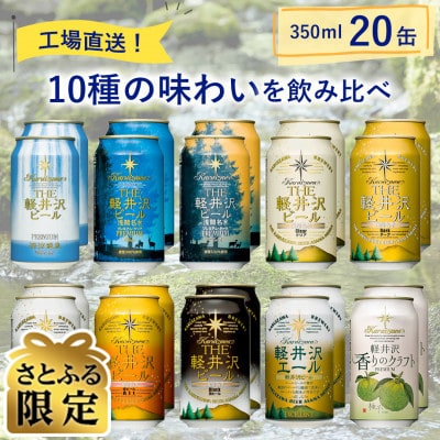 【毎月定期便】【さとふる限定】THE軽井沢ビール10種20缶クラフトビール飲み比べ全5回