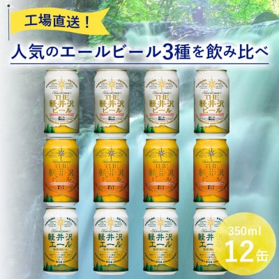 【毎月定期便】THE軽井沢ビール 3種12缶 クラフトビール350ml 飲み比べセット全3回