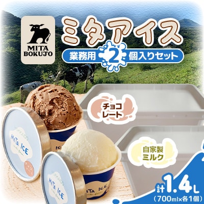 【北海道】三田牧場 ミタアイス業務用2個セット(自家製ミルク 1個+チョコ 1個)計1.4L