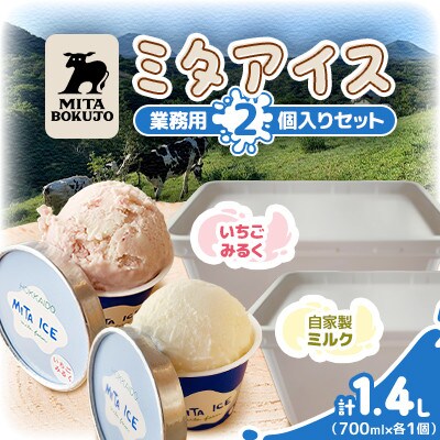 【北海道】三田牧場 ミタアイス業務用2個セット(自家製ミルク 1個+いちごみるく 1個)計1.4L