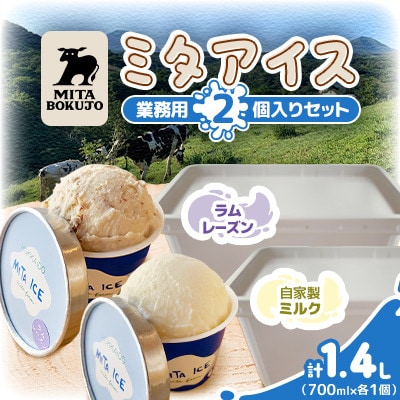 【北海道】三田牧場 ミタアイス業務用2個セット(自家製ミルク 1個+ラムレーズン 1個)計1.4L