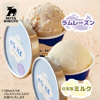 【北海道】三田牧場 ミタアイス業務用2個セット(自家製ミルク 1個+ラムレーズン 1個)計1.4L