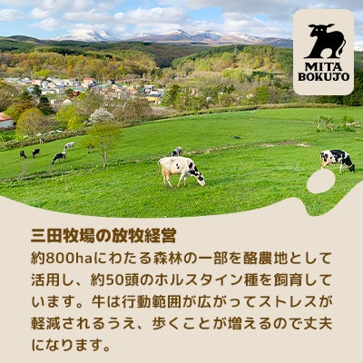 【北海道】三田牧場 ミタアイス業務用(自家製ミルク 2個)計1.4L