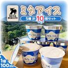 【北海道】ミタアイス10個セット ミルク×チョコ×いちごみるく×ラムレーズン×抹茶