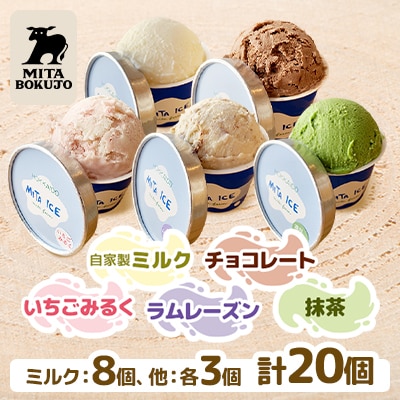 【北海道】三田牧場 ミタアイス20個(ミルク×チョコ×いちごみるく×ラムレーズン×抹茶)