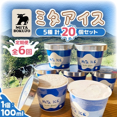 【毎月定期便】【北海道】ミタアイス20個(ミルク×チョコ×いちごみるく×ラムレーズン×抹茶)全6回