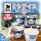 【毎月定期便】【北海道】ミタアイス20個(ミルク×チョコ×いちごみるく×ラムレーズン×抹茶)全3回