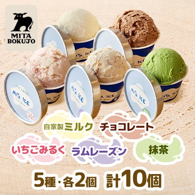 【毎月定期便】【北海道】ミタアイス10個(ミルク×チョコ×いちごみるく×ラムレーズン×抹茶)全6回