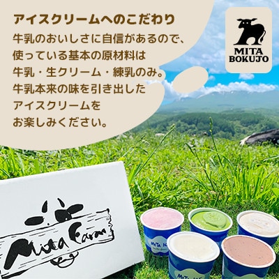 【毎月定期便】【北海道】ミタアイス10個(ミルク×チョコ×いちごみるく×ラムレーズン×抹茶)全6回