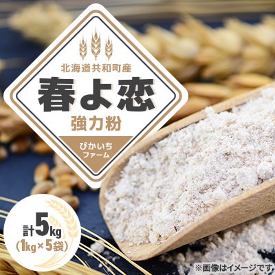 【北海道共和町】ぴかいちファーム【春よ恋】強力粉1kg×5袋(計5kg)