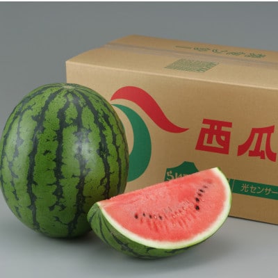 北海道 共和町産 らいでんスイカ2L～3L　2玉