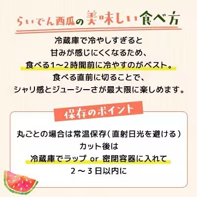 【先行受付/2026年発送】北海道 共和町産 らいでん小玉スイカ　2玉