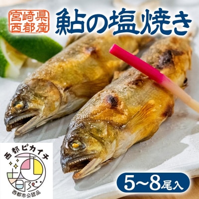 鮎の塩焼き(冷凍) 宮崎県西都市産鮎[2746]